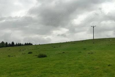 Teren de 1113 mp, în Paltin - 2