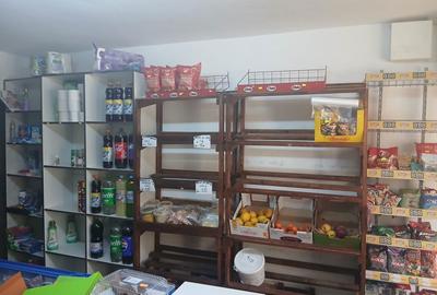 Spațiu comercial, de 40 mp, în Nufărul - 6