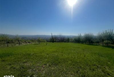 Spațiu comercial, în Central - 2