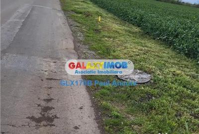 Teren de 65000 mp, în Moara Vlăsiei