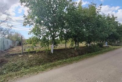 Teren de 2400 mp, în Săliște - 3