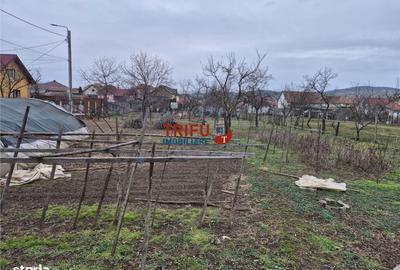 Casă cu 5 camere cu Teren 1651 Mp în Bărăbanț - 12