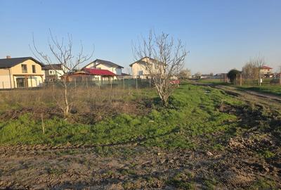 Teren Construcții intravilan de 665 mp, în Berceni - 2