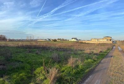 Teren Intravilan 468mp Lebedelor Com. Berceni | utilitati | #CG2R - 9