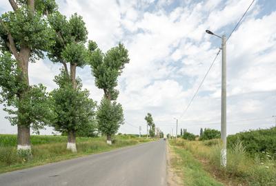 Teren de 30.000 mp în Cernica – pentru Dezvoltare Rezidențială sau Industriala - 17