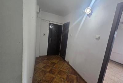 Apartament cu trei camere si beci zona Octavian Paler - 10