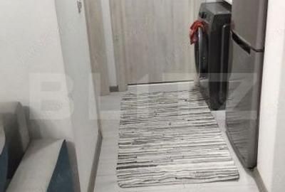 Apartament cu 2 camere decomandat în Rudicica - 6