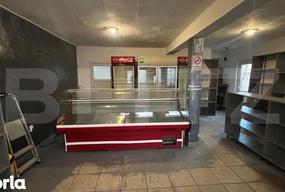 Casă cu 4 camere cu Teren 462 Mp în Craiovița Nouă - 4