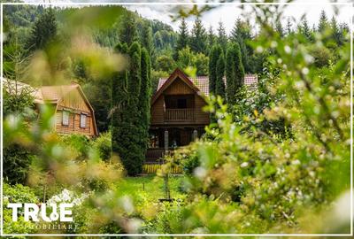 Cabană de vânzare, 95m? utili, teren 1276m?, Sălard! - 4