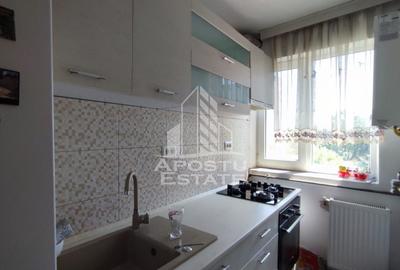 Apartament cu 2 camere decomandat, mobilat în Șagului - 5
