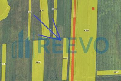 Teren de vanzare, Nicolae Balcescu, Bacau - 1