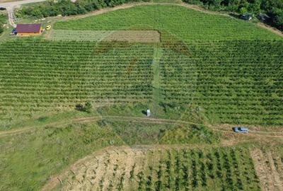 Oportunitate de investitie - Teren de vanzare I 4 ha I certificat ECO - 3