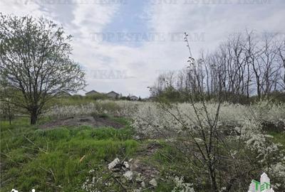 Teren de 2325 mp, în Joița