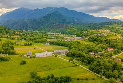 COMISION 0% Teren 1,590mp Rasnov / DJ 101 - 3