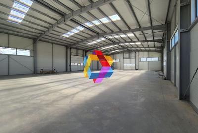 Hala - 1400 mp  # plus-imo.ro - 22