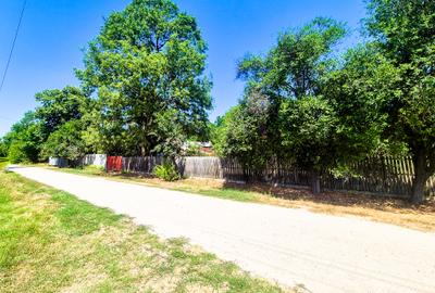 Casa , teren intravilan Urlueni Barla Arges - 22