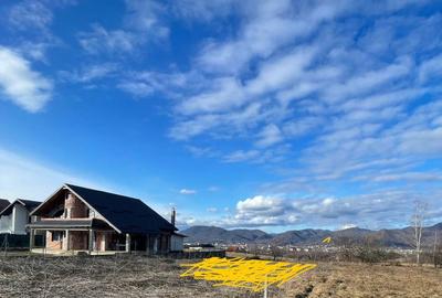 Teren de 1700 mp, în Satu Nou de Sus