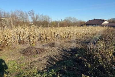 Casă cu 3 camere cu Teren 4900 Mp în Central - 1