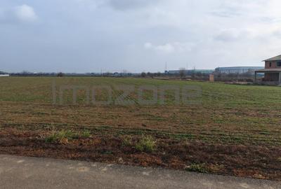 Teren în Dragomirești-Vale - 3