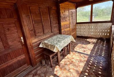 Cabana la Dunare, Liubcova, nr 475A, Caras-Severin - 2