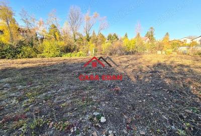 Teren intravilan in Cornu 3171 mp--89.000e - 9