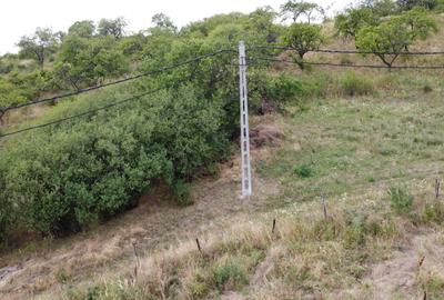 Teren de 840 mp, în Paleu - 3