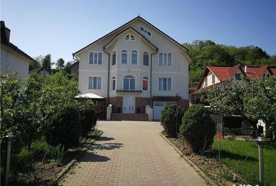 Casă cu 14 camere cu Teren 2500 Mp în Viișoara - 6