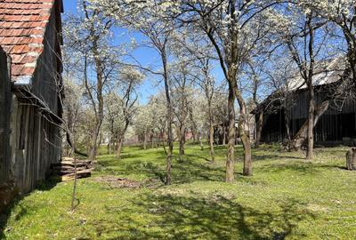 Spațiu comercial, în Poplaca - 3