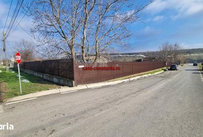 Casă cu 5 camere cu Teren 2660 Mp în Poarta Albă - 6