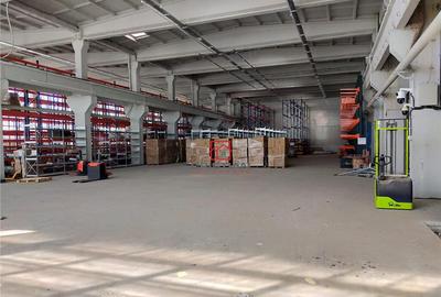 Hala/depozit/spatiu industrial Basarabia - Faur - 11