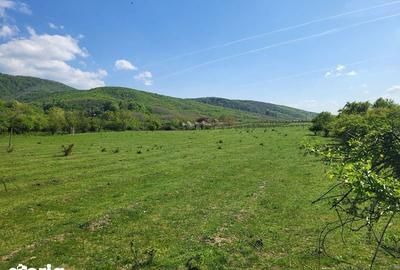 Teren de 1000 mp, în Ghioroc