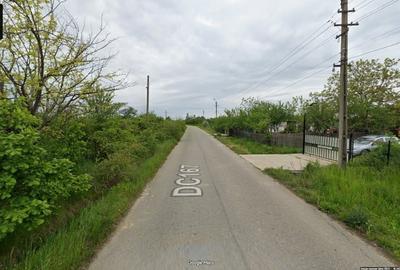 Teren Construcții intravilan de 6626 mp, în Cocu - 3