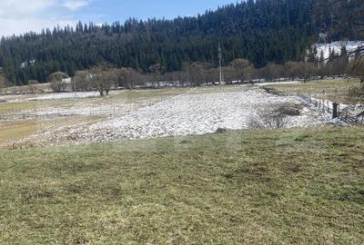 Teren de 12500 mp, în Poiana Stampei - 1