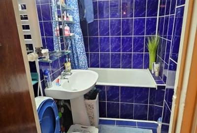 Apartament 2 camere - mobilat/utilat - TEIUL DOAMNEI - 3