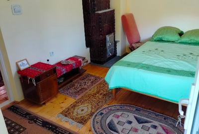 Casă individuală cu 5 camere cu Teren 3000 Mp în Central - 7