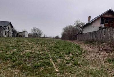 Teren de 6920 mp, în Dărmănești - 3