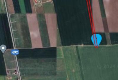 Teren de 9980 mp, în Sânandrei - 1