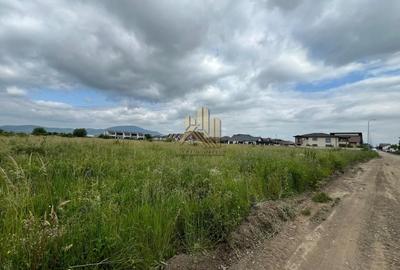 Teren Construcții intravilan de 5898 mp, în Vest