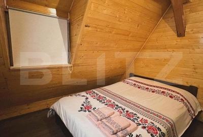 Cabana cu vedere la lac, 1800 mp teren, la Colibita -sau schimb! - 13