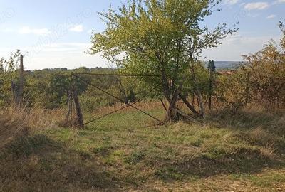 Teren de 2000 mp, în Câlnic - 3