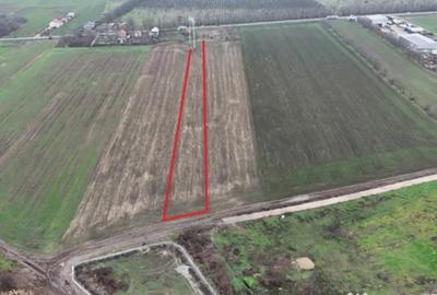 Teren de 7630 mp, în Frumușani - 2