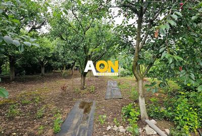 Casă individuală cu 4 camere cu Canalizare în Sud - 3