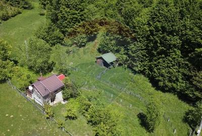 Comision 0%! Proprietate in natura, priveliste superba, Sita Buzaului - 2