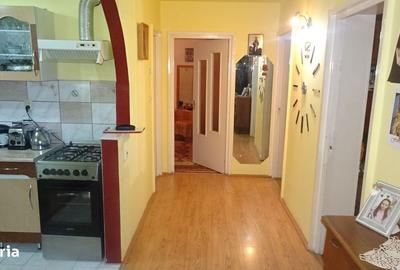 Apartament cu 3 camere decomandat în Scărișoara - 14