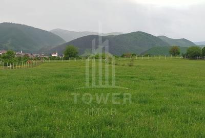 Teren de vinzare in Tropini Vechi - 3