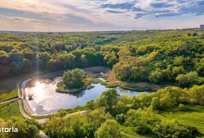 Spațiu comercial, în Păcurari