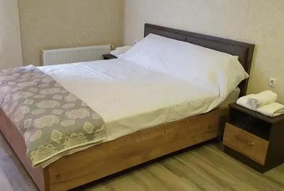 Se ofera garsoniera in zona Teiul Doamnei - 8