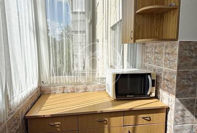 Apartament cu 2 camere decomandat în Seleuș - 9