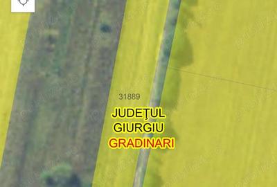 Teren de 2000 mp, în Tântava