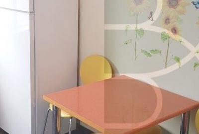 Apartament cu 2 camere semidecomandat în Iancului - 4